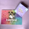 Second Kit Planeador + Cuaderno Sueña en Grande