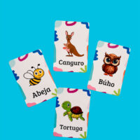 Flash Cards (2 unidades)
