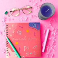 Productos-de-papelería-hermosos-y-únicos-que-te-acompañan_Cuaderno-Animal-1